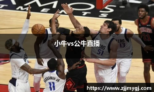 小牛vs公牛直播