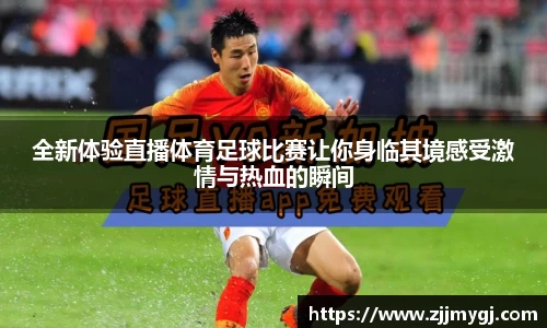 美嘉体育平台