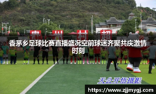 美嘉体育下载