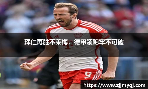 美嘉体育下载