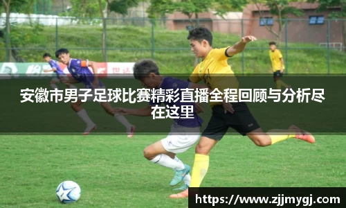 美嘉体育下载