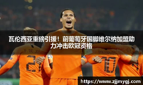 瓦伦西亚重磅引援!前葡萄牙国脚维尔纳加盟助力冲击欧冠资格