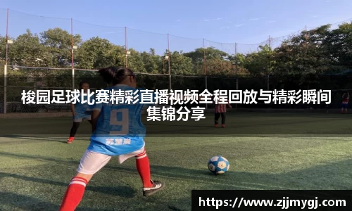 美嘉体育下载