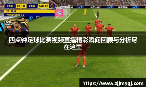 美嘉体育平台