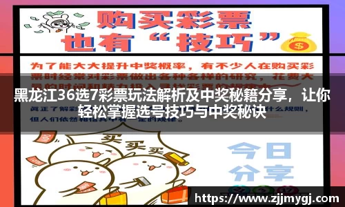 美嘉体育平台